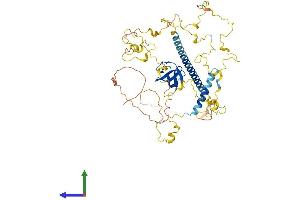 Protein Structure (PS) image for Cortactin (CTTN) (AA 1-550) protein (His tag) (ABIN7555565)