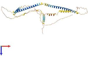 SPZ1 Protein (AA 1-378) (His tag)
