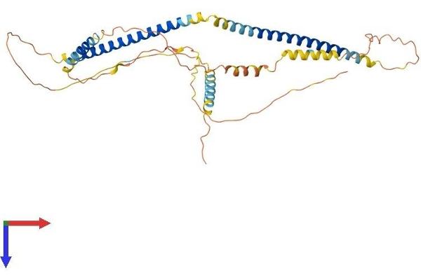 SPZ1 Protein (AA 1-378) (His tag)