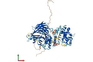 Protein Structure (PS) image for Mediator Complex Subunit 16 (MED16) (AA 1-877) protein (His tag) (ABIN7554546)
