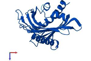Protein Structure (PS) image for StAR-Related Lipid Transfer (START) Domain Containing 5 (STARD5) (AA 1-213) protein (His tag) (ABIN7561383)