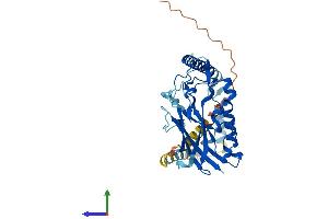 Protein Structure (PS) image for ATPase, Na+/K+ Transporting, beta 4 Polypeptide (ATP1B4) (AA 1-357) protein (His tag) (ABIN7552373)