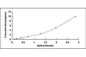 ELISA image for Growth Hormone 1 (GH1) ELISA Kit (ABIN414240)