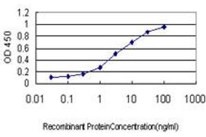 Detection limit for recombinant GST tagged LLGL1 is approximately 0. (LLGL1 抗体  (AA 911-1010))