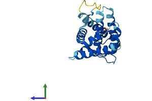 Protein Structure (PS) image for BCL2-Associated X Protein (BAX) (AA 1-192) protein (His tag) (ABIN7552606)