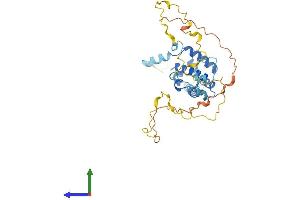 Protein Structure (PS) image for Calponin 3, Acidic (CNN3) (AA 1-330) protein (His tag) (ABIN7561246)