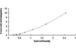 Typical standard curve (PADI6 ELISA 试剂盒)