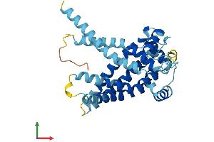 Protein Structure (PS) image for Solute Carrier Family 25 (Mitochondrial Thiamine Pyrophosphate Carrier), Member 19 (SLC25A19) (AA 1-320) protein (His tag) (ABIN7544739)