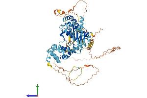 Protein Structure (PS) image for Receptor (TNFRSF)-Interacting serine-threonine Kinase 1 (RIPK1) (AA 1-671) protein (His tag) (ABIN7555218)