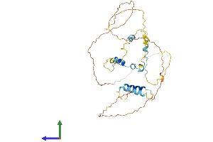 AlphaFold protein structure predicition of Human Recombinant AVEN Protein, UniprotID Q9NQS1