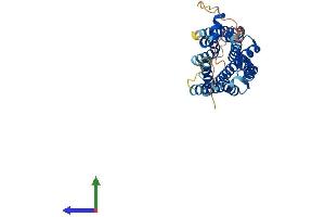 AlphaFold protein structure predicition of Human Recombinant SSTR5 Protein, UniprotID P35346