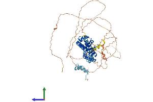 AlphaFold protein structure predicition of Human Recombinant HNF1B Protein, UniprotID P35680 (HNF1B Protein (AA 1-557) (His tag))