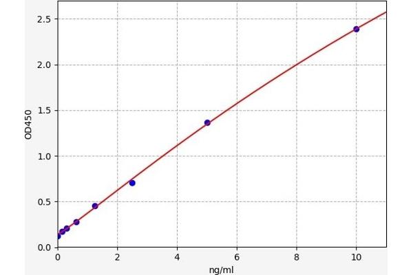 Deoxyuridine Triphosphatase (DUT) ELISA 试剂盒