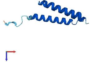 LYRM2 Protein (AA 1-88) (His tag)