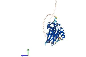 Protein Structure (PS) image for Siah E3 Ubiquitin Protein Ligase 2 (SIAH2) (AA 1-325) protein (His tag) (ABIN7563606)