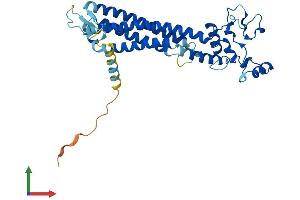 Protein Structure (PS) image for Peripherin 2 (Retinal Degeneration, Slow) (PRPH2) (AA 1-346) protein (His tag) (ABIN7562890)