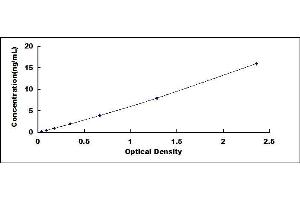 Typical standard curve (SFRP5 ELISA 试剂盒)
