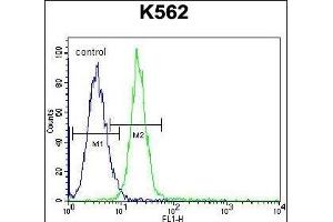 JAG1 Antibody (C-term) (ABIN656080 and ABIN2845426) flow cytometric analysis of K562 cells (right histogram) compared to a negative control cell (left histogram). (JAG1 抗体  (C-Term))