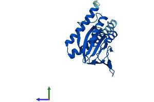 Protein Structure (PS) image for sigma Non-Opioid Intracellular Receptor 1 (SIGMAR1) (AA 1-223) protein (His tag) (ABIN7555502)