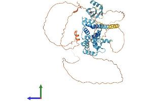 AlphaFold protein structure predicition of Mouse Recombinant Pnma5 Protein, UniprotID Q5DTT8