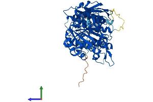 Protein Structure (PS) image for Protein Arginine Methyltransferase 5 (PRMT5) (AA 1-637) protein (His tag) (ABIN7552219)