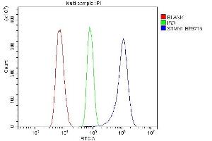 Flow Cytometry analysis of THP-1 cells using anti-Stathmin 1 antibody (ABIN3043301). (Stathmin 1 抗体  (N-Term))