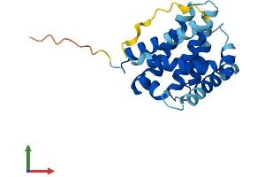 Protein Structure (PS) image for BCL2-Associated X Protein (BAX) (AA 1-192) protein (His tag) (ABIN7556916)