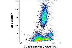 Flow cytometry surface staining pattern of human peripheral whole blood stained using anti-human CD205 (HD30) purified antibody (concentration in sample 0,6 μg/mL, GAM APC). (LY75/DEC-205 抗体)