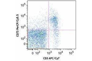 Flow Cytometry (FACS) image for anti-5'-Nucleotidase, Ecto (CD73) (NT5E) antibody (PerCP-Cy5.5) (ABIN2660157) (CD73 抗体  (PerCP-Cy5.5))