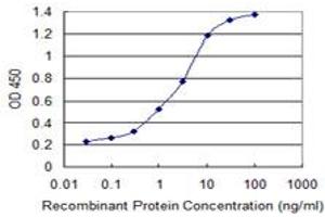 Detection limit for recombinant GST tagged JMJD1C is 0. (JMJD1C 抗体  (AA 2-99))