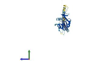 Protein Structure (PS) image for C-Type Lectin Domain Family 9, Member A (CLEC9A) (AA 1-238) protein (His tag) (ABIN7558844)