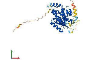 Protein Structure (PS) image for BCDIN3 Domain Containing (BCDIN3D) (AA 1-292) protein (His tag) (ABIN7552878)