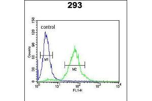 Flow cytometric analysis of 293 cells (right histogram) compared to a negative control cell (left histogram). (SETD8 抗体  (AA 220-249))