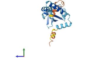 Protein Structure (PS) image for Ubiquitin-Like 4A (UBL4A) (AA 1-157) protein (His tag) (ABIN7544918)
