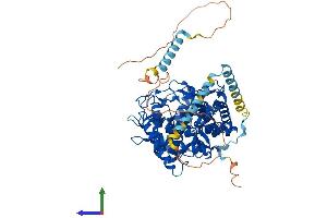 Protein Structure (PS) image for Mannosidase, Alpha, Class 1A, Member 1 (MAN1A1) (AA 1-653) protein (His tag) (ABIN7549290)