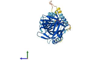 AlphaFold protein structure predicition of Mouse Recombinant Serpinb13 Protein, UniprotID Q8CDC0