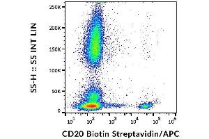 Surface staining of human peripheral blood cells with anti-human CD20 (LT20) biotin, streptavidin-APC. (CD20 抗体  (Biotin))