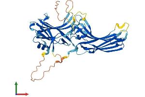 Protein Structure (PS) image for Arrestin, beta 1 (ARRB1) (AA 1-418) protein (His tag) (ABIN7564444)