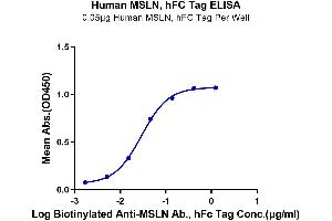 Immobilized Human MSLN at 0.
