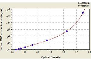 Typical Standard Curve (XDH ELISA 试剂盒)