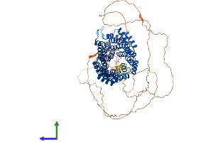Protein Structure (PS) image for Cell Division Cycle 27 Homolog (S. Cerevisiae) (CDC27) (AA 1-824) protein (His tag) (ABIN7553223)
