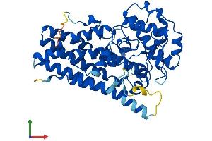 Protein Structure (PS) image for Indoleamine 2,3-Dioxygenase 2 (IDO2) (AA 1-405) protein (His tag) (ABIN7559643)