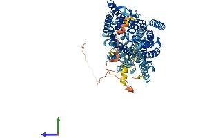 Protein Structure (PS) image for Solute Carrier Family 5 (Sodium/glucose Cotransporter), Member 9 (SLC5A9) (AA 1-681) protein (His tag) (ABIN7555449)