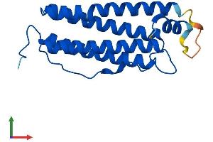 AlphaFold protein structure predicition of Mouse Recombinant Ftl2 Protein, UniprotID P49945 (FTL2 Protein (AA 1-183) (His tag))