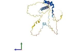 Protein Structure (PS) image for NK2 Homeobox 8 (NKX2-8) (AA 1-239) protein (His tag) (ABIN7549766)