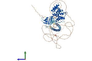 Protein Structure (PS) image for rho GTPase Activating Protein 24 (ARHGAP24) (AA 1-748) protein (His tag) (ABIN7555229)