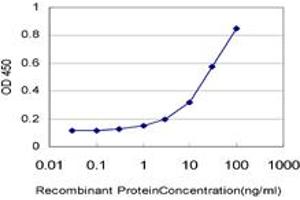 Detection limit for recombinant GST tagged LASS4 is approximately 0. (LASS4 抗体  (AA 57-139))