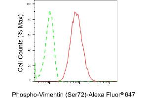 Flow cytometric analysis of Phospho-Vimentin (Ser72) expression in HT- cells using Phospho-Vimentin (Ser72) antibody (ABIN7800835), 1:2,000). (Recombinant Vimentin 抗体  (pSer72))