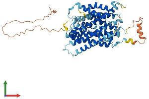 Protein Structure (PS) image for Solute Carrier Family 38 Member 3 (SLC38A3) (AA 1-505) protein (His tag) (ABIN7561345)