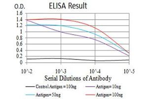 Black line: Control Antigen (100 ng),Purple line: Antigen (10 ng), Blue line: Antigen (50 ng), Red line:Antigen (100 ng) (NLRC4 抗体  (pSer533))